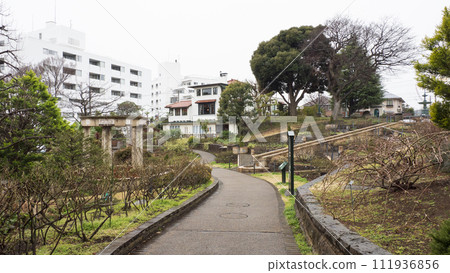 English rose garden (Port View Hill Park) English rose garden (Port View Hill Park) 111936856