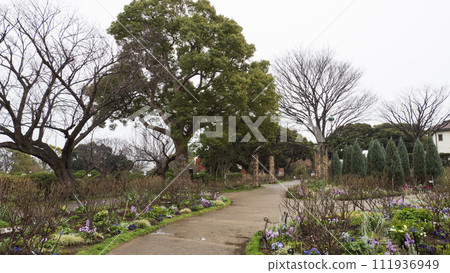 英國玫瑰園(Port View Hill Park) 英國玫瑰園(Port View Hill Park) 111936949