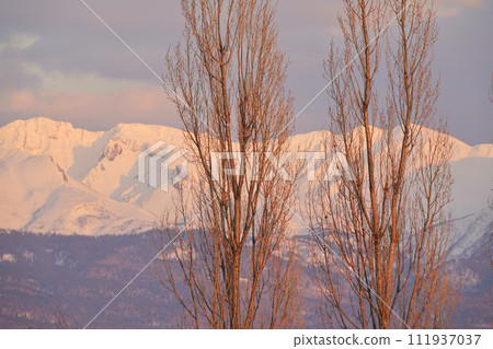 Tokachidake mountain range seen from Biei Shinei Hill in early spring 111937037