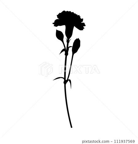 Single carnation silhouette, icon, vector Single carnation silhouette, icon, vector 111937569