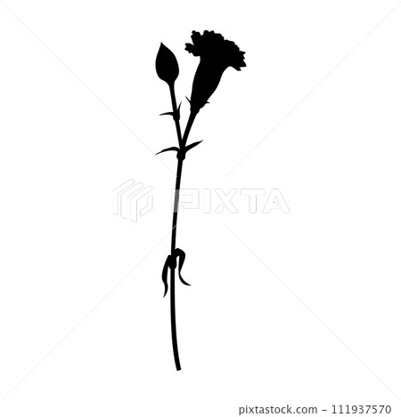 Single carnation silhouette, icon, vector Single carnation silhouette, icon, vector 111937570