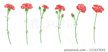 Single carnation illustration set, variation set, icon, vector Single carnation illustration set, variation set, icon, vector 111937645