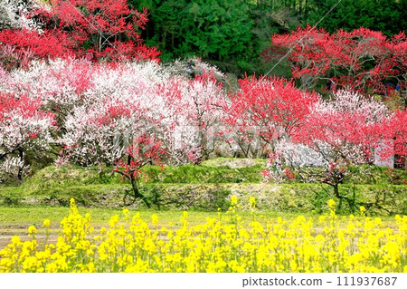 Achi/Tsukigawa Onsen Hanamomo no Sato Achi/Tsukigawa Onsen Hanamomo no Sato 111937687