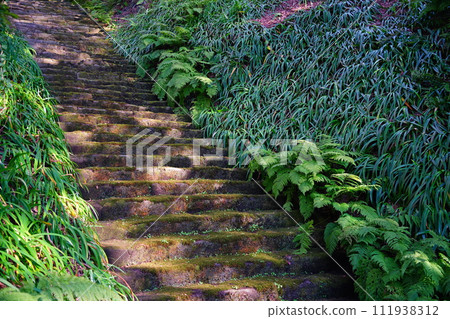 【鎌倉/小金寺】妙法寺是鎌倉的一座苔蘚寺廟，有朱紅色的仁王門，在苔蘚樓梯上可以感受到歷史。 111938312