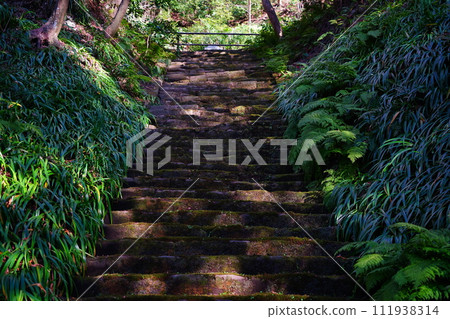 【鎌倉/小金寺】妙法寺是鎌倉的一座苔蘚寺廟，有朱紅色的仁王門，在苔蘚樓梯上可以感受到歷史。 111938314