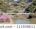 河津櫻花盛開的佐久間水壩湖水上樂園的渡槽橋 111938611
