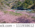 河津櫻花盛開的佐久間水壩湖水上樂園的渡槽橋 111938612