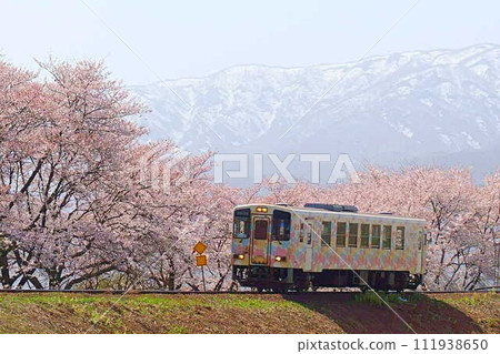 櫻花盛開,殘雪,花長井線,山形鐵道 櫻花盛開,殘雪,花長井線,山形鐵道 111938650