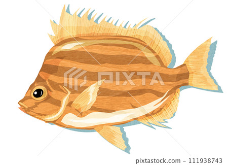 Wood carving illustration of basket oyster fish 111938743