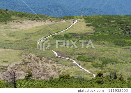 在通往白山室堂的山路上，從五代坂眺望彌陀原 111938903