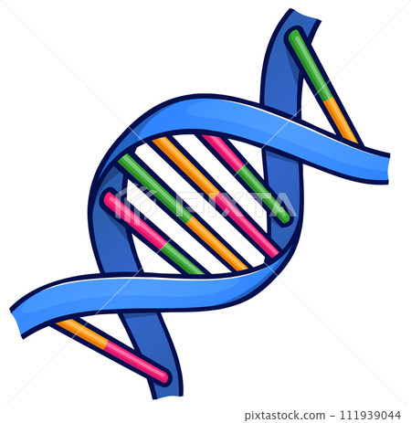 dna or chromosome cartoon isolated 111939044