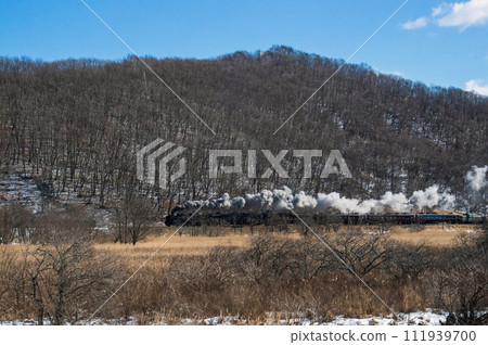 SL Winter Wetland runs through Kushiro Wetland SL Winter Wetland runs through Kushiro Wetland 111939700
