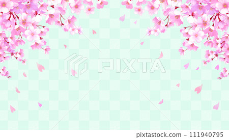 Cherry blossoms and checkered pattern frame background Sakura blizzard 16:9 111940795