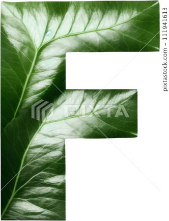 Green leaf typography text design uppercase alphabet F Green leaf typography text design uppercase alphabet F 111941613