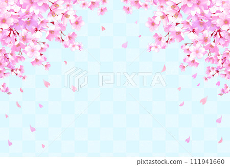 櫻花和格子圖案框架背景櫻花暴風雪 111941660