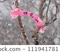 帶有粉紅色膠帶的熊見山頂標誌 111941781
