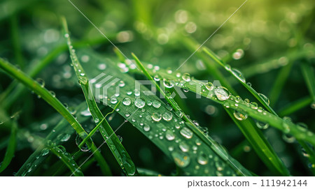 Generated AI. Green grass with dew drops close up.	 111942144