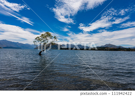 Wanaka Tree at Lake Wanaka 111942422