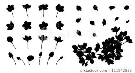 優雅的櫻花剪影（分為幾部分） 111942882