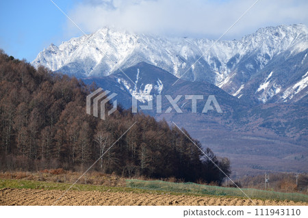 白雪皚皚的八岳和收穫的高原菜田 白雪皚皚的八岳和收穫的高原菜田 111943110