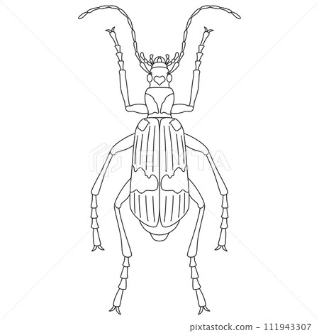 線條畫昆蟲單項圖示 Midelago 甲蟲 線條畫昆蟲單項圖示 Midelago 甲蟲 111943307