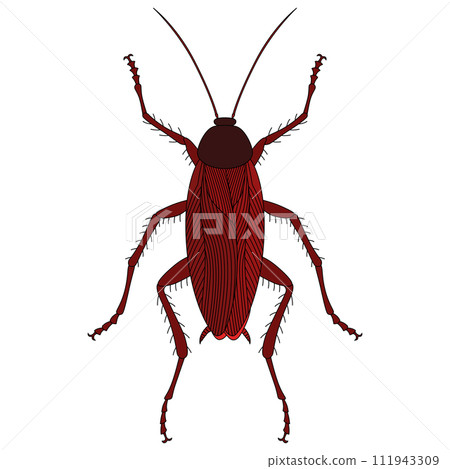 Color insect single item icon cockroach Color insect single item icon cockroach 111943309