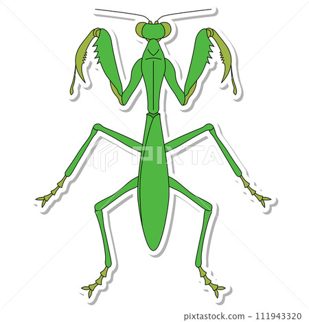 Sticker insect single item icon praying mantis 111943320