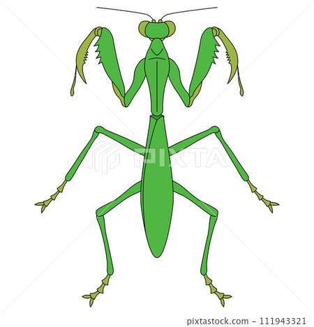 彩色昆蟲單項圖示螳螂 彩色昆蟲單項圖示螳螂 111943321