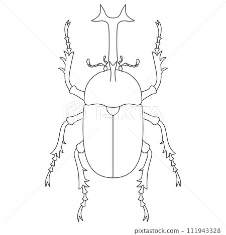 Line drawing insect single item icon beetle male 111943328