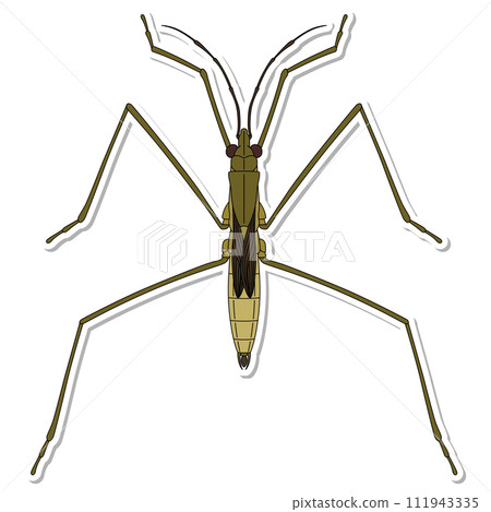 貼紙昆蟲單品圖示水黽 111943335