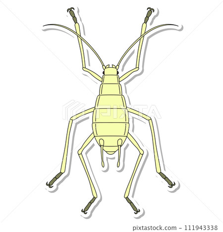 貼紙昆蟲單項圖示蚜蟲 貼紙昆蟲單項圖示蚜蟲 111943338