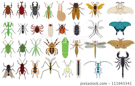 標本風格貼紙昆蟲圖示集(無背景) 標本風格貼紙昆蟲圖示集(無背景) 111943341