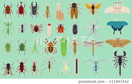標本風格貼紙昆蟲圖示集 111943342