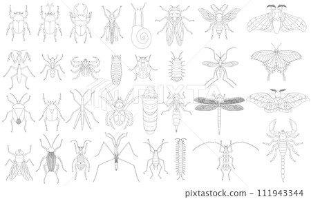 標本風格線條描昆蟲圖示集 111943344