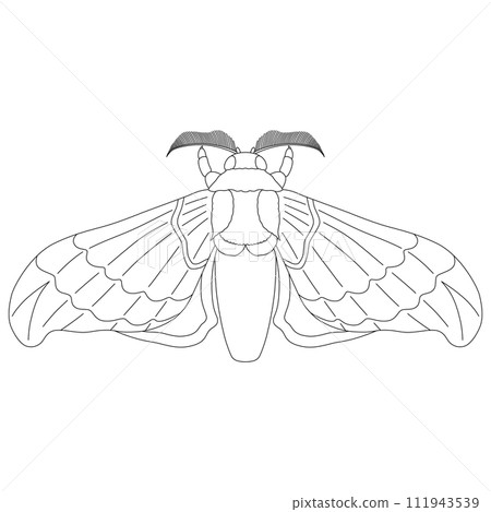 Line drawing insect single item icon silkworm Line drawing insect single item icon silkworm 111943539