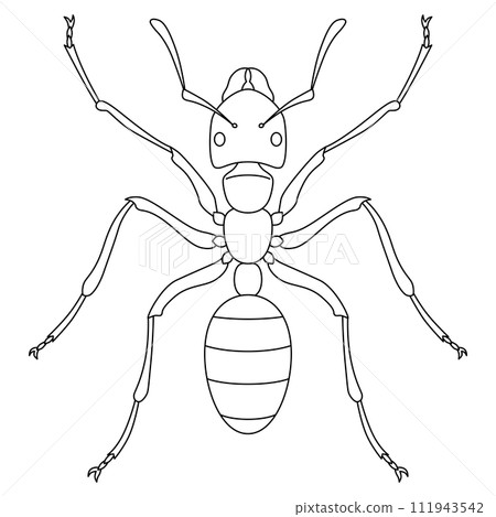 線條畫昆蟲單項圖示螞蟻 線條畫昆蟲單項圖示螞蟻 111943542