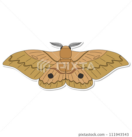 貼紙昆蟲單項圖示飛蛾 111943543
