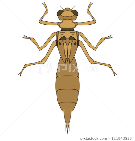 Color insect single item icon Yago 111943553