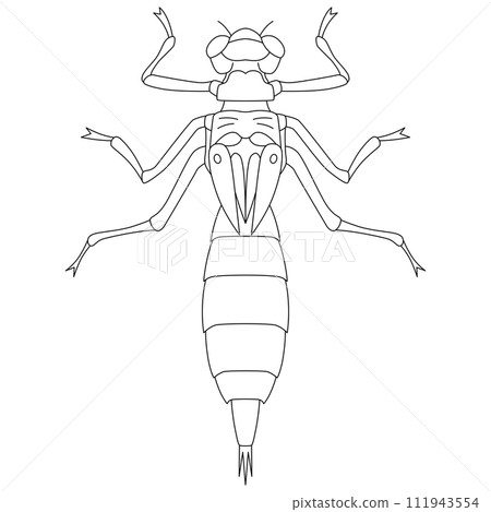 線描昆蟲單項圖標 Yago 111943554
