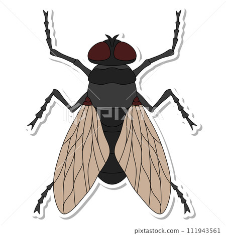 貼紙昆蟲單項圖示飛 貼紙昆蟲單項圖示飛 111943561