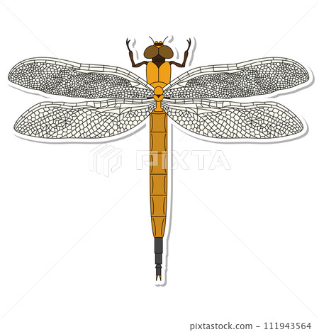 貼紙昆蟲單項圖示蜻蜓 111943564