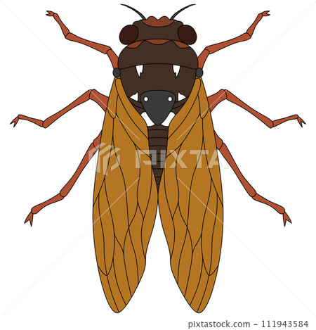 Color insect single item icon cicada 111943584