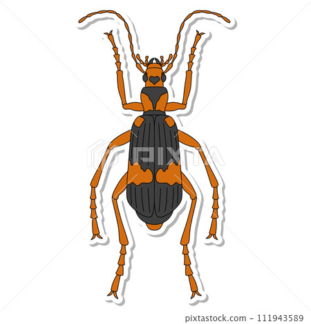 Sticker insect single item icon Mydelago beetle 111943589