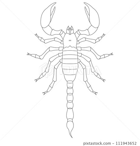 Sticker insect single item icon scorpion 111943652