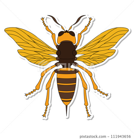 Sticker insect single item icon bee Sticker insect single item icon bee 111943656