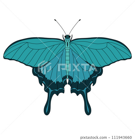Color insect single item icon butterfly Color insect single item icon butterfly 111943660
