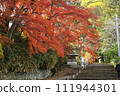 紅葉美麗的神明社階梯（宮城縣白石市） 111944301