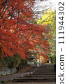 紅葉美麗的神明社階梯（宮城縣白石市） 111944302