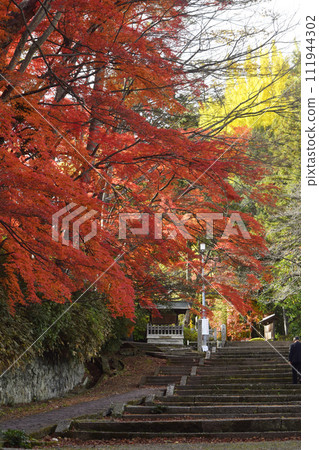紅葉美麗的神明社階梯（宮城縣白石市） 111944302