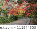 紅葉美麗的神明社階梯（宮城縣白石市） 111944303